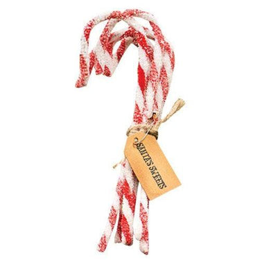 6 Set Sparkle Chenille Candy Canes - The Fox Decor